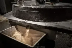 Mulino-Giorginaro_N_molitura