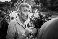 Santa-Domenica-_DSC3576